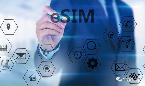 华强电子杂志1月2月合刊精彩抢鲜读 网络技术服务专题